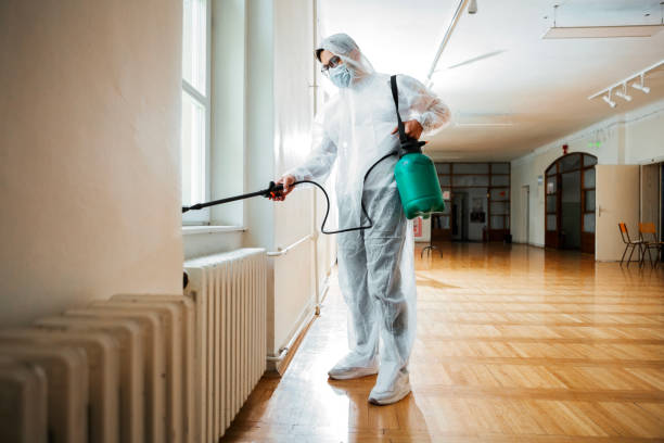 Reliable Licking, MO Pest Control Solutions